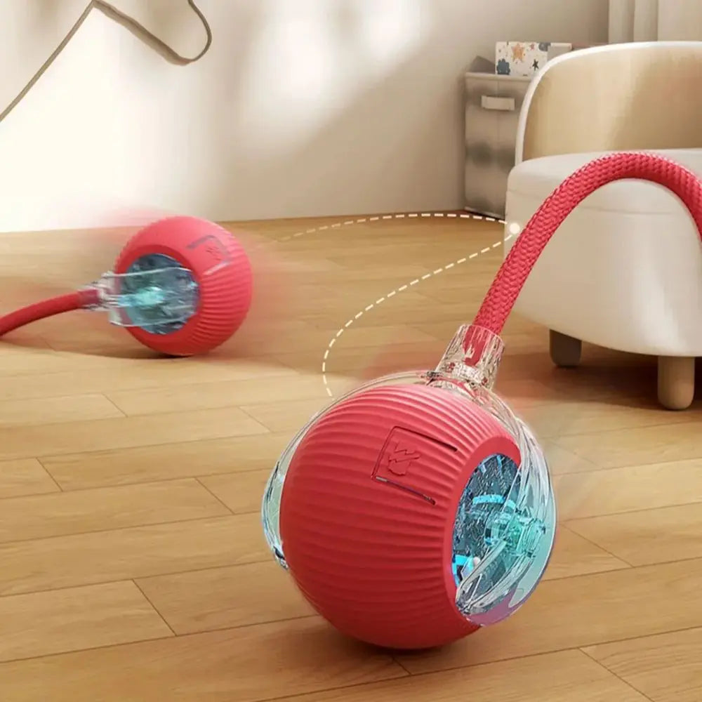 Smart Interactive Cat Toy