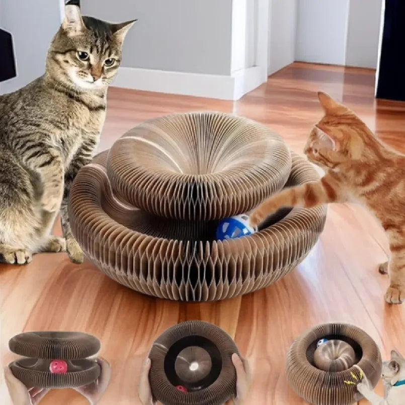 Round Cat Scratching Board with Rolling Ball