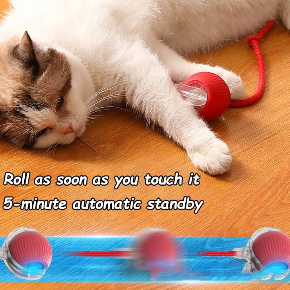 Smart Interactive Cat Toy