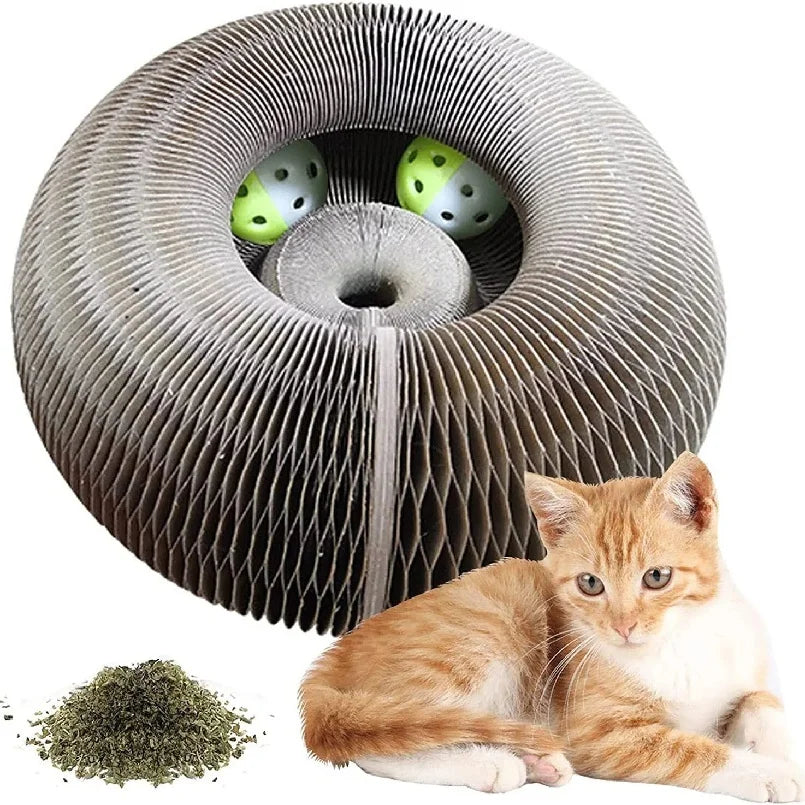 Round Cat Scratching Board with Rolling Ball