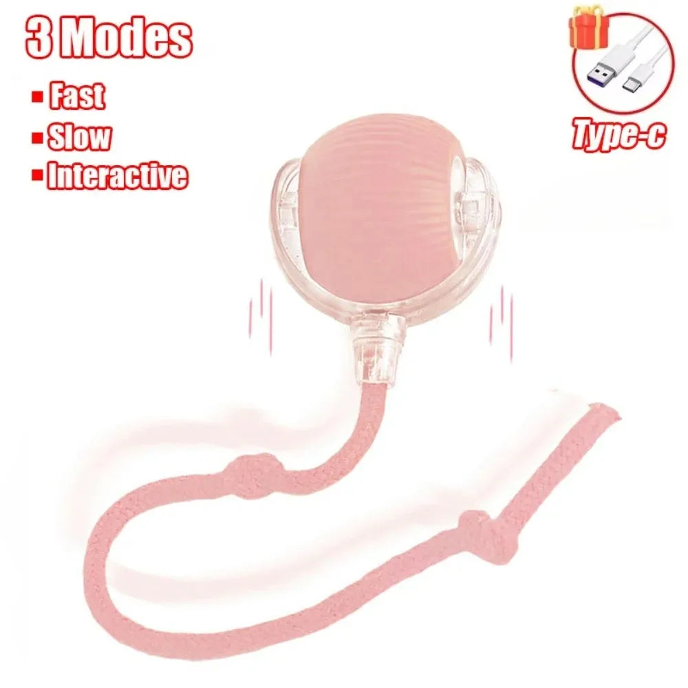 Smart Interactive Cat Toy