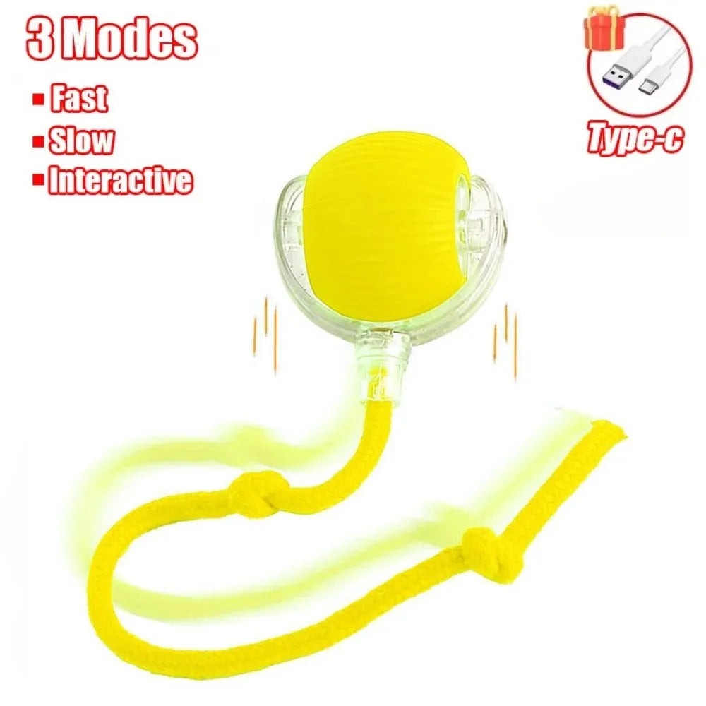 Smart Interactive Cat Toy