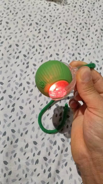 Smart Interactive Cat Toy