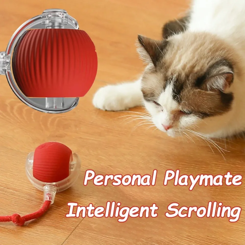 Smart Interactive Cat & Dog Toy