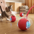 Smart Interactive Cat & Dog Toy