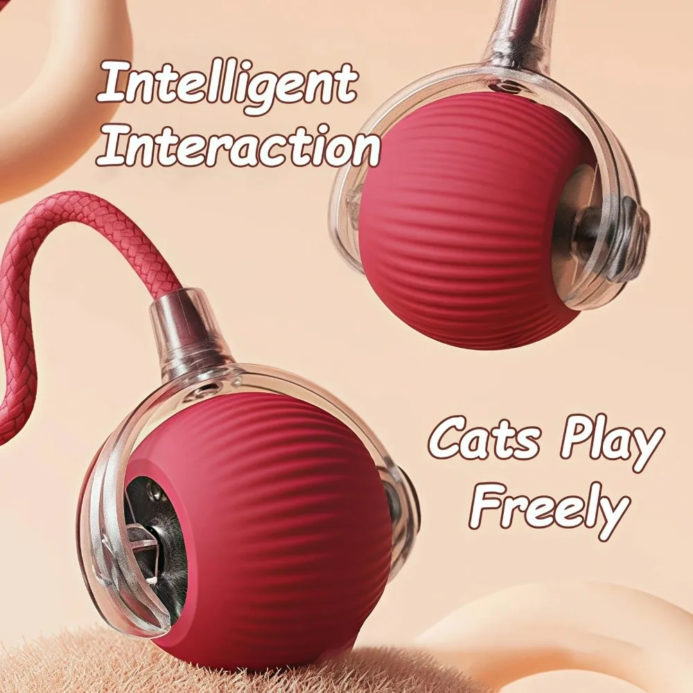 Smart Interactive Cat & Dog Toy