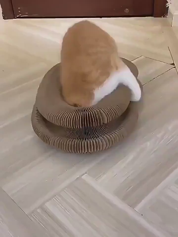 Round Cat Scratching Board with Rolling Ball