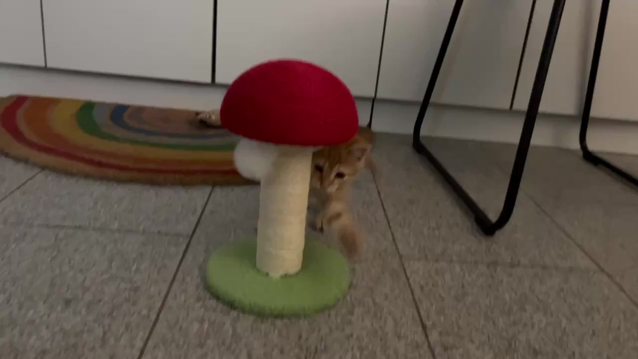 Mushroom & Carrot Cat Scratching Post